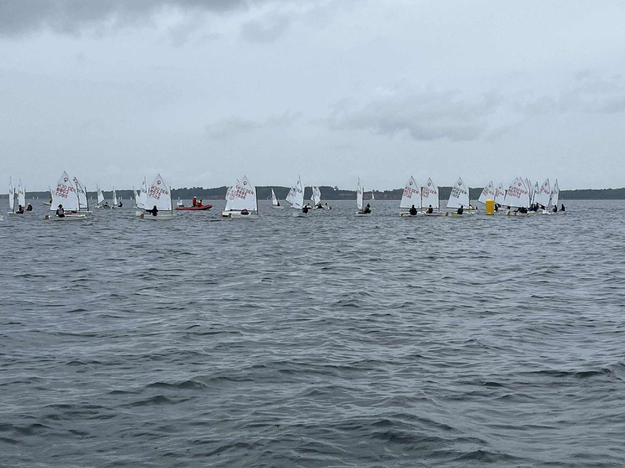 Horsens Optimister til Sail Extreme